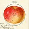 Image result for 4 Apple Inside the Circle