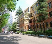 Image result for Sophia University Japan