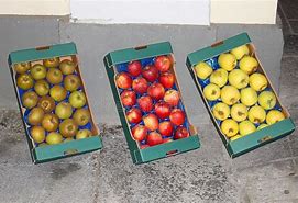 Image result for Wrinkled Apple Fruit in Box