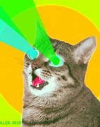 Image result for Cat Laser Animated GIF