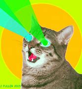 Image result for Cat Galaxy-Eyes GIF