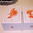 Image result for iPhone 6s Size mm