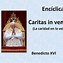 Image result for caritas_in_veritate