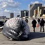 Image result for Atlantic City Beached Whale