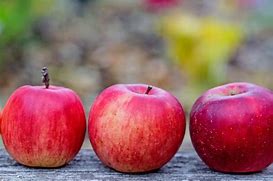 Image result for Apple Fruit Background