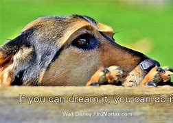 Image result for You Can Do It Cute