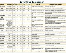 Image result for Cover Crop Planting Chart