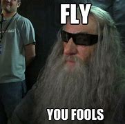 Image result for Gandalf Fly You Fools Meme