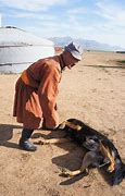 Image result for Mongolian Dog Breeds