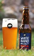 Image result for What Is IPA Beer