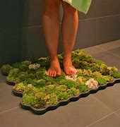 Image result for Stone Moss Bath Mat