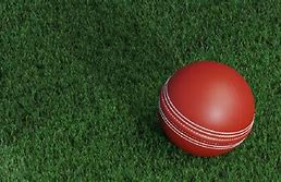 Image result for Cricket Pitch Labelled