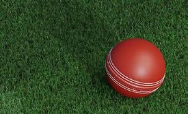 Image result for Cricket Pitch with Batsman