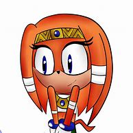 Image result for Funny Tikal the Echidna