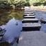 Image result for Forest Stepping Stones