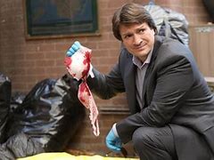 Image result for Nathan Fillion Brooklyn 99