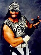 Image result for NWO Wolfpack Macho Man