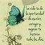 Image result for Imagenes Con Frases Positivas