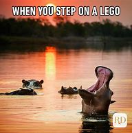 Image result for Wildlife Memes Clean Funny