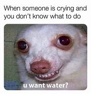 Image result for I Want to Cry Meme