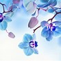 Image result for Blue and White Wallpaper Covers Gor Phone