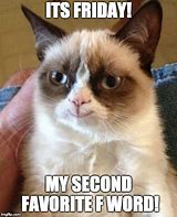 Image result for Grumpy Cat Friday Meme