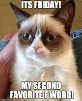 Image result for Grumpy Cat Friday