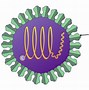 Image result for Hepatitis B Virus Transmission