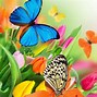 Image result for Cute Rainbow Butterfly Wallpaper