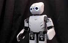 Image result for Future Humanoid Robots