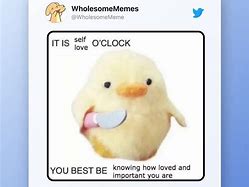 Image result for Best Wholesome Memes