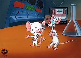 Image result for Sad Pinky and the Brain