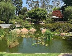 Image result for Botanical Gardens Southern California