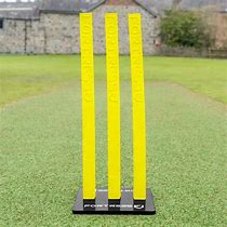Image result for Flexi for Cricket Tournament