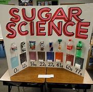 Image result for Fourth Grade Science Project Ideas