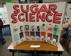 Image result for Free Science Fair Projects