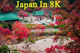 Image result for Japan 8K