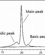 Image result for Cation Exchange Chromatography