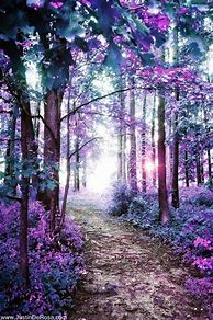 Image result for Beautiful Purple Forest Path