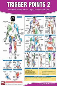 Image result for Full Body Pain Chart