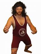 Image result for Defonia Costume Wrestling Belt