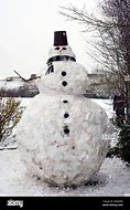 Image result for Snowman IRL