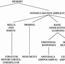 Image result for The Memory System Basic Concepts