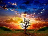 Image result for Best 3D Wallpapers iPhone X