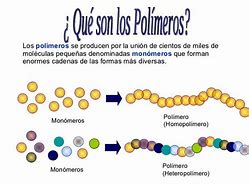 Image result for Clases De Polimeros