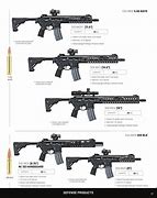Image result for Sig Spear M13 Stock