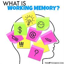Image result for Types of Working Memory