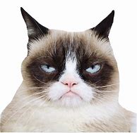 Image result for Grumpy PNG