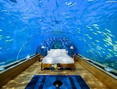 Image result for Pic of Water Bed