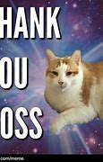 Image result for Business Cat Thank You Meme